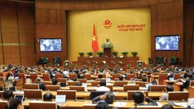 Nhận hồ sơ ứng cử đại biểu Quốc hội từ 22/2/2021