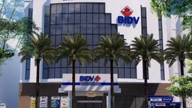 BIDV giảm 300 tỷ đồng trong phiên đấu giá lần thứ 13 với khoản nợ của thép Việt Nhật