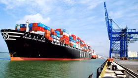 Cục Hàng hải yêu cầu niêm yết công khai giá cước, phụ thu vận tải container