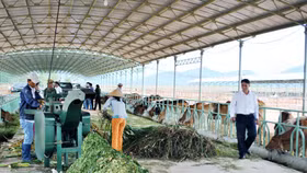 Hoàng Anh Gia Lai muốn giảm giá chuyển đổi trái phiếu