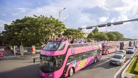 Những hình ảnh thú vị của xe buýt Coco City tour tại Đà Nẵng