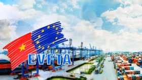 GSP hết hiệu lực, chứng minh xuất xứ hàng hóa xuất khẩu vào EU được thực hiện như nào?