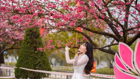 Đến Sa Pa mà không ghé những toạ độ này thì... phí cả chuyến đi