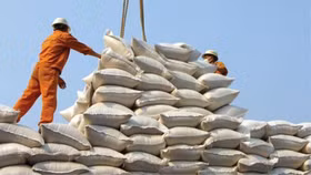 Có thể đảm bảo an ninh lương thực quốc gia nếu dịch bệnh kéo dài