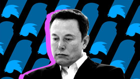 Elon Musk tích cực tìm kiếm CEO mới cho Twitter