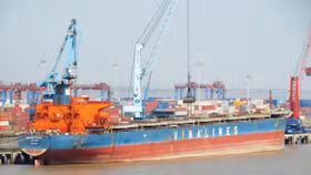 Vinalines loay hoay xử lý đội tàu “già"