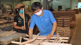 Gỗ Trường Thành xin gia hạn công bố báo cáo tài chính quý 2/2017