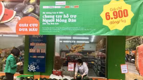 Hệ thống bán lẻ BRG hỗ trợ nông dân tiêu thụ dưa hấu trước tác động của dịch nCoV