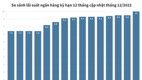 Lãi suất tiết kiệm kỳ hạn 12 tháng ngân hàng cao nhất tháng 12/2022?