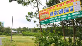 “Đóng băng” 21.000ha đất quanh dự án sân bay Long Thành
