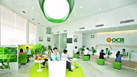 Hai cá nhân sắp được bầu vào Hội đồng quản trị OCB là ai?