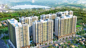 Hưng Thịnh dự kiến phát hành 39,6 triệu cổ phiếu chia cổ tức 80%