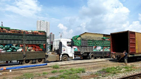 105 tấn nông sản theo tàu đêm vào Nam hỗ trợ người dân vùng dịch