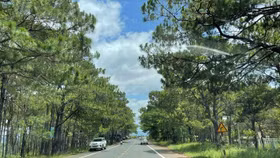 Đắk Nông yêu cầu thiết lập trật tự, kỷ cương về quản lý đất đai