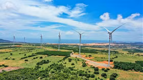 Chấp thuận chuyển mục đích sử dụng đất tại 4 tỉnh