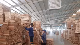 Ngành gỗ kỳ vọng xuất khẩu đạt 18 tỷ USD