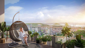 Ra mắt dòng căn hộ The Platinum tại Sun Marina Town: Đặc quyền thượng lưu