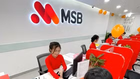 Bất động sản Thành Vinh ngồi ghế cổ đông lớn của MSB