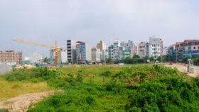 Hà Nội thu hồi đất 1.690 dự án và chuyển đổi 507ha đất lúa, đất rừng