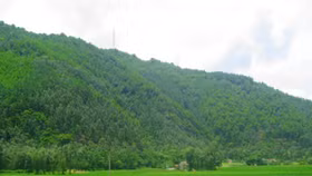 Thanh Hoá: Tập đoàn Everland tài trợ lập quy hoạch 1/200 dự án 452ha tại Hoằng Hoá