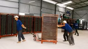 Mỗi tuần một cổ phiếu: DIC – Cổ phiếu "đắp chăn, phủ bạt"