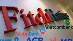 Fitch Ratings: Nợ quá hạn sẽ còn tăng mạnh hơn nữa