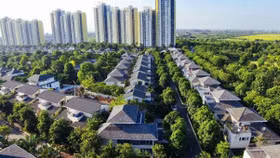 Thủ tướng Chính phủ chỉ quyết định chủ trương các dự án từ 300ha