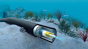 Các hoạt động trực tuyến gặp khó khi hai tuyến cáp quang cùng gặp sự cố