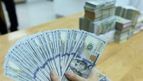 Giá USD tự do tiếp tục lao dốc