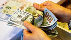 Tỷ giá USD ngày 3/12: Đồng USD phục hồi trở lại