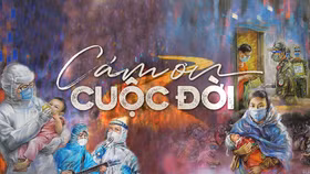 Cảm ơn vì đã trở về!