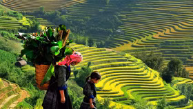 Lào Cai chính thức thành lập Sở Du lịch