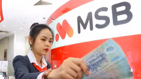 Phó Tổng Giám đốc đăng ký mua hơn 2,1 triệu cổ phiếu MSB