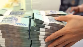 5 tháng đầu năm, thu 252 tỷ đồng từ thoái vốn nhà nước tại doanh nghiệp
