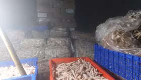 Ban Chỉ đạo 389 Hà Nội thu giữ hơn 3 tấn chân gà trong một kho đông lạnh ở Đan Phượng