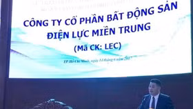 Hoạt động kinh doanh của LEC ra sao khi phải giải trình 11 phiên tăng trần liên tiếp?