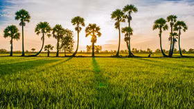 An Giang “bắt tay” các tỉnh kích cầu du lịch