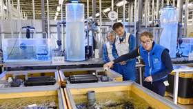 Trung Quốc cấm nhập khẩu thực phẩm từ Nhật Bản vì vụ xả nước ở Fukushima