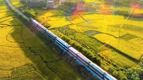 Phó Thủ tướng yêu cầu thống nhất phương án đầu tư 2 tuyến đường sắt khu vực phía Nam