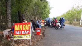 TP.HCM: Tăng cường chấn chỉnh công tác quản lý nhà nước về giá đất