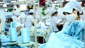 May Phan Thiết trả cổ tức cao hơn giá trị cổ phiếu