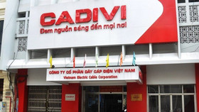 GELEX chi hơn 190 tỷ đồng để gia tăng sở hữu tại Cadivi