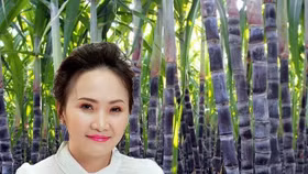 Bà Đặng Huỳnh Ức My mua xong 12 triệu cổ phiếu SBT