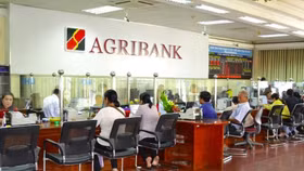 Agribank lãi trước thuế gần 9.500 tỷ đồng 6 tháng đầu năm, bổ sung 3.500 tỷ vốn điều lệ