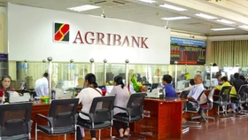 Ngân hàng Agribank duy trì mặt bằng lãi suất huy động tháng 2/2025