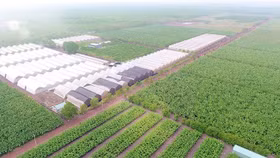 Quảng Ninh: Phê duyệt thêm khu nông nghiệp công nghệ cao 106 ha