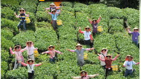 Luật Kinh doanh bất động sản 2014 còn khoảng trống ở loại hình du lịch nông nghiệp