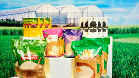 Vinaseed sắp trả cổ tức bằng tiền mặt năm 2020 với tỷ lệ 20%