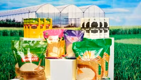 Vinaseed sắp trả cổ tức bằng tiền mặt năm 2020 với tỷ lệ 20%