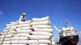 80.000 tấn gạo Việt Nam xuất khẩu từ năm 2022 sang EU sẽ bị áp hạn ngạch